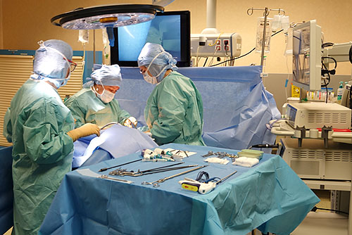 techniques chirurgicales proposées en chirurgie de l'obésité à l'hôpital de Narbonne