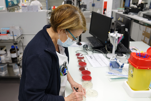 laboratoire-4